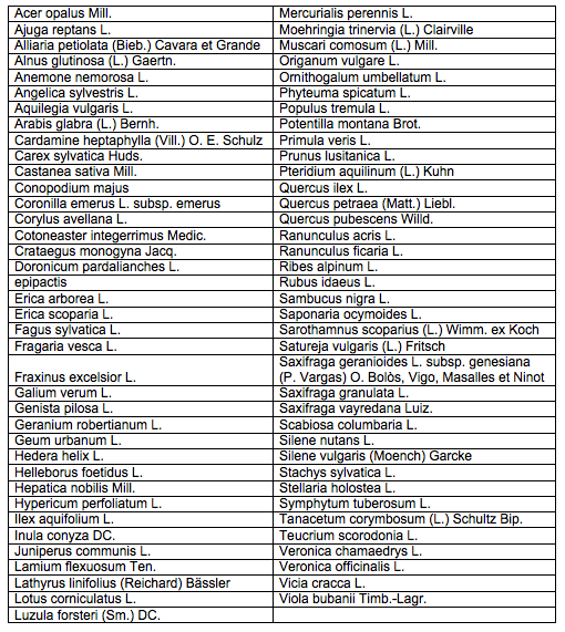 FOTOLlistat PLANTES2