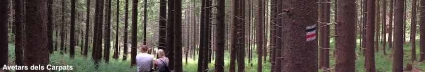 CAP avetars Carpats