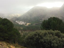 Grazalema